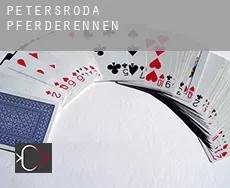 Petersroda  Pferderennen