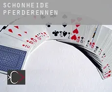 Schönheide  Pferderennen