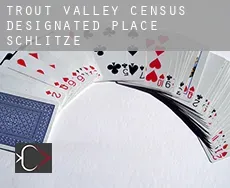 Trout Valley  Schlitze