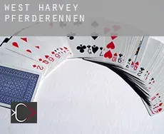 West Harvey  Pferderennen