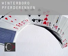 Winterboro  Pferderennen