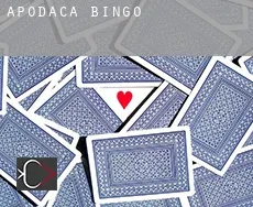 Apodaca  Bingo