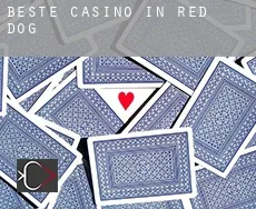 Beste Casino in  Red Dog