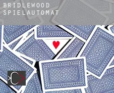 Bridlewood Spielautomat