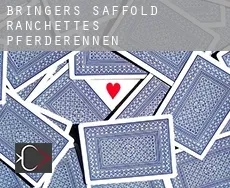 Bringers Saffold Ranchettes  Pferderennen