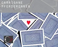 Carrigane Pferderennen