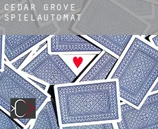Cedar Grove  Spielautomat