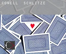 Cowell  Schlitze