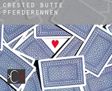 Crested Butte  Pferderennen