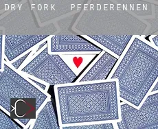 Dry Fork  Pferderennen