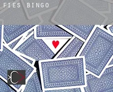 Fies  Bingo