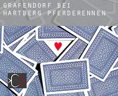 Grafendorf bei Hartberg  Pferderennen