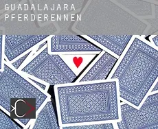 Guadalajara  Pferderennen
