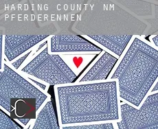 Harding County  Pferderennen