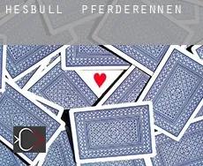 Hesbüll Pferderennen