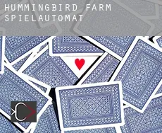 Hummingbird Farm  Spielautomat