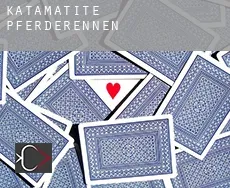 Katamatite Pferderennen