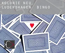 Kolonie Neu Lüdershagen  Bingo