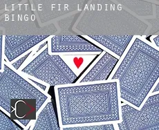Little Fir Landing  Bingo