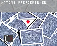 Matong Pferderennen