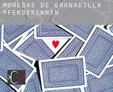 Mohedas de Granadilla  Pferderennen