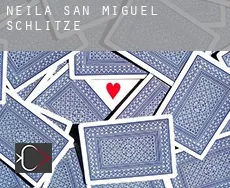 Neila de San Miguel  Schlitze