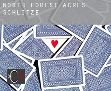 North Forest Acres  Schlitze