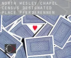 North Wesley Chapel  Pferderennen