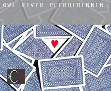 Owl River  Pferderennen