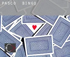 Pasco  Bingo