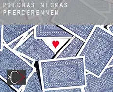 Piedras Negras  Pferderennen