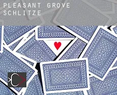Pleasant Grove  Schlitze
