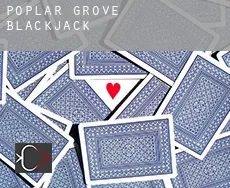 Poplar Grove  Blackjack