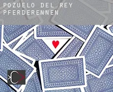 Pozuelo del Rey  Pferderennen