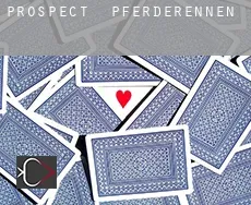 Prospect  Pferderennen