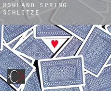 Rowland Spring  Schlitze