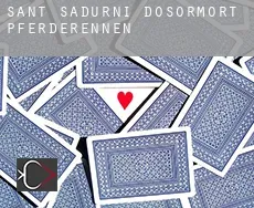 Sant Sadurní d'Osormort  Pferderennen