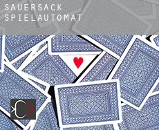 Sauersack  Spielautomat