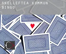 Skellefteå Kommun  Bingo