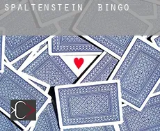 Spaltenstein  Bingo
