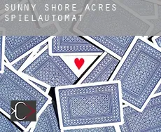 Sunny Shore Acres  Spielautomat
