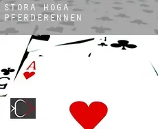 Stora Höga  Pferderennen