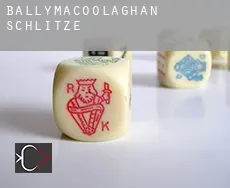 Ballymacoolaghan Schlitze
