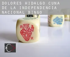 Dolores Hidalgo Cuna de la Independencia Nacional  Bingo