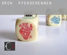 Drew  Pferderennen