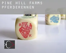 Pine Hill Farms Pferderennen