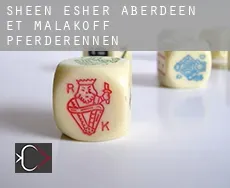 Sheen-Esher-Aberdeen-et-Malakoff  Pferderennen