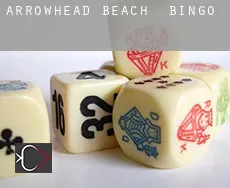 Arrowhead Beach  Bingo