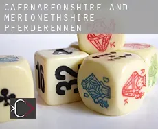 Caernarfonshire and Merionethshire Pferderennen