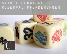 Sainte-Hedwidge-de-Roberval  Pferderennen
